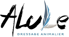 Alule dressage animalier – Valérie Récher Logo